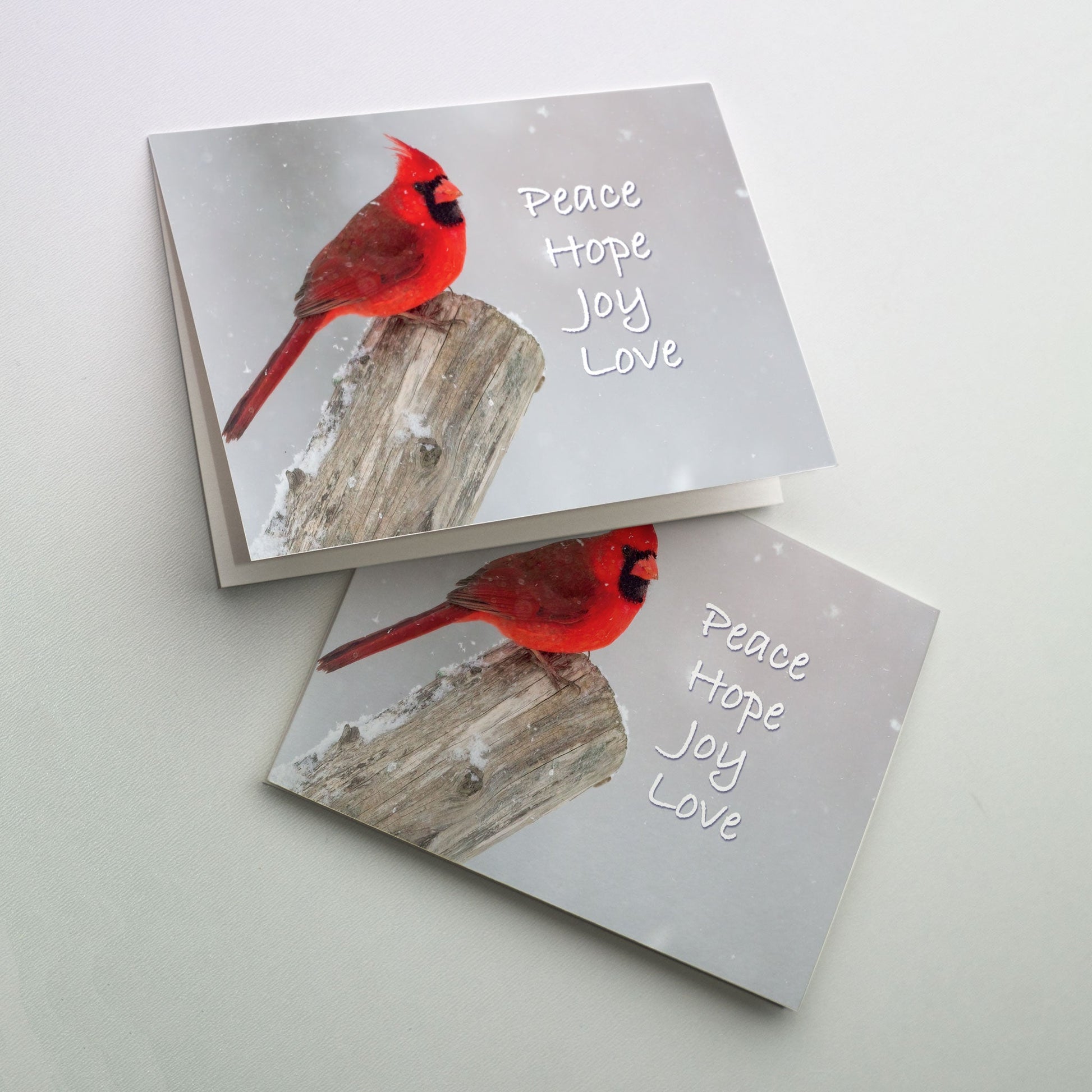 A bright red cardinal accompanies the cover text