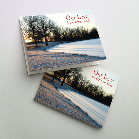 Cool-color wintery scene of two dominant trees with sunset casting two shadows on a frozen snow-covered lake. Christmas red cover text in the light blue sky.