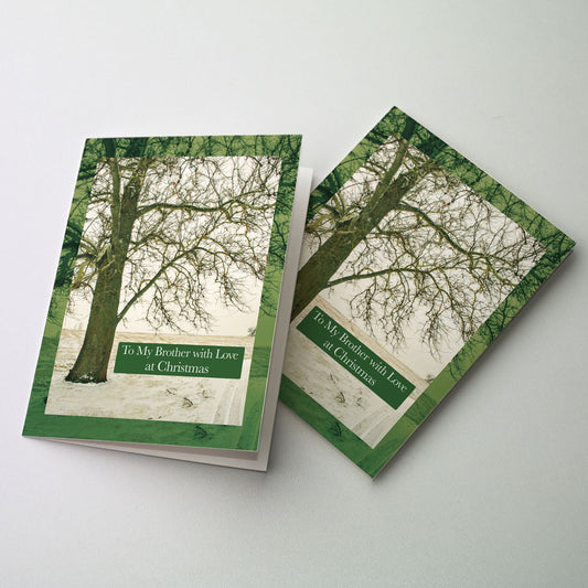 Photograph of a quiet winter scene with birch tree and snow. A transparent border repeats the image in green. Cover title is on a green banner.