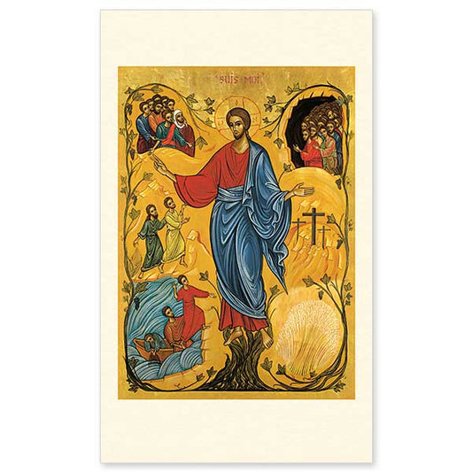 &quot;I am the vine, you are the branches.&quot; This striking metaphor from John 15:5 is used by Jesus to explain the relationship between humanity and Himself. This marvelous icon by Sister Marie-Paul uses the motif to bring together many of the Gospel scenes in which Jesus called people to be His followers.