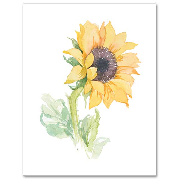 A watercolor painting of a single Sunflower.