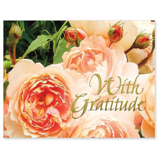 Close-up photo of a blooming garden rose with calligraphic cover text, With Gratitude