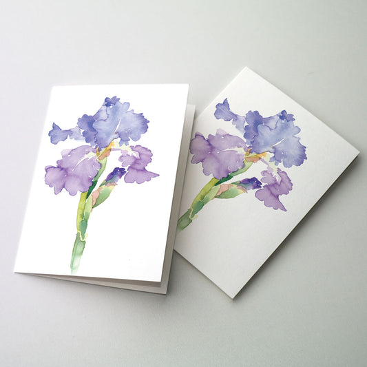 Watercolor Iris - Petite Notes